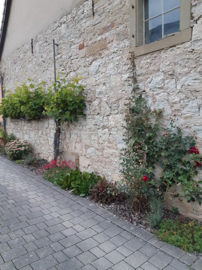 Apartment Körner Im Weinparadies Seinsheim